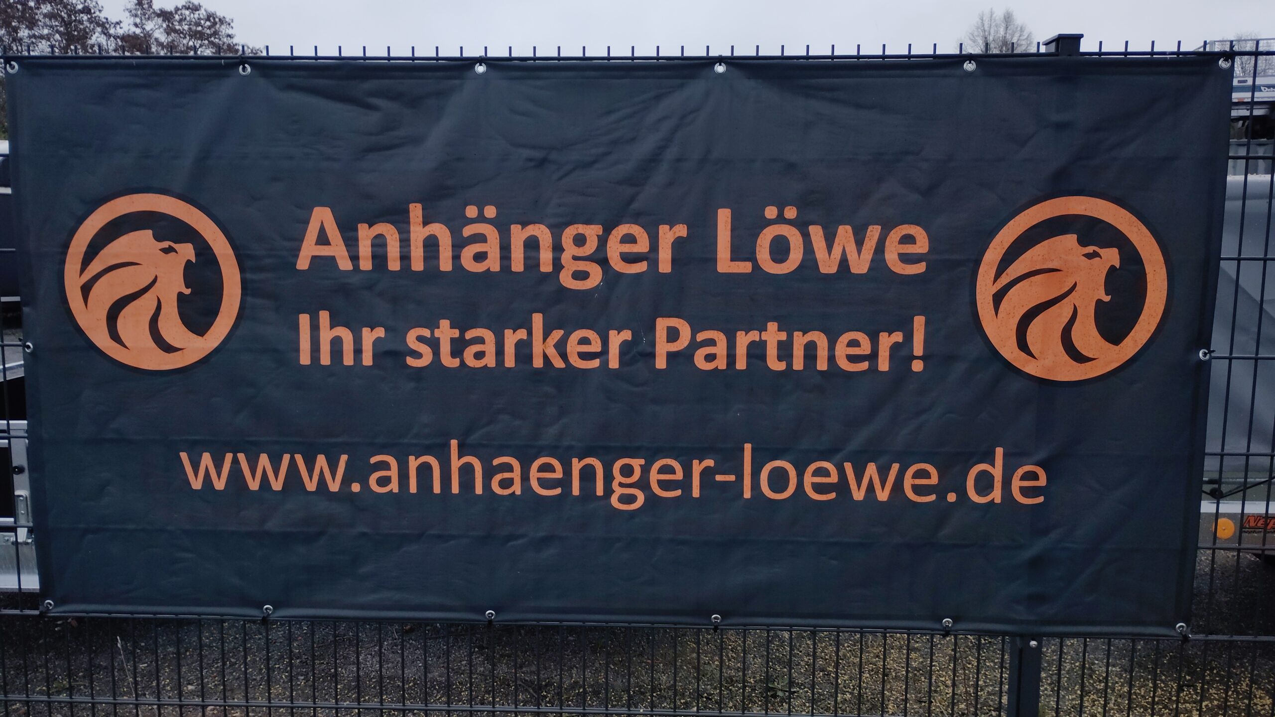 Anhänger Löwe